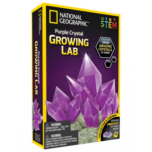 National Geographic Purple Crystal Growing Lab