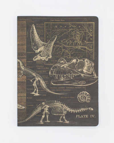 Dinosaurs Notebook