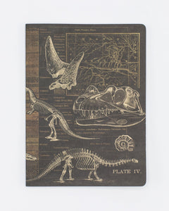 Dinosaurs Notebook