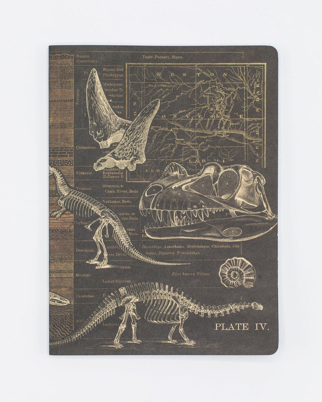 Dinosaurs Notebook