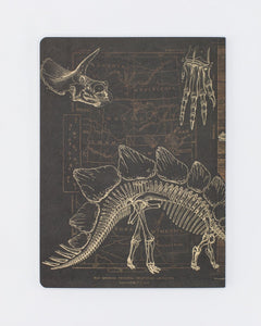 Dinosaurs Notebook